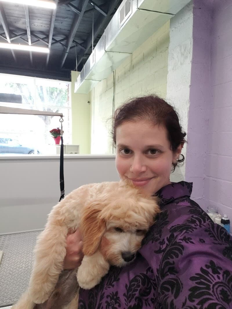 Simply Groomed LLC (Dog Grooming)