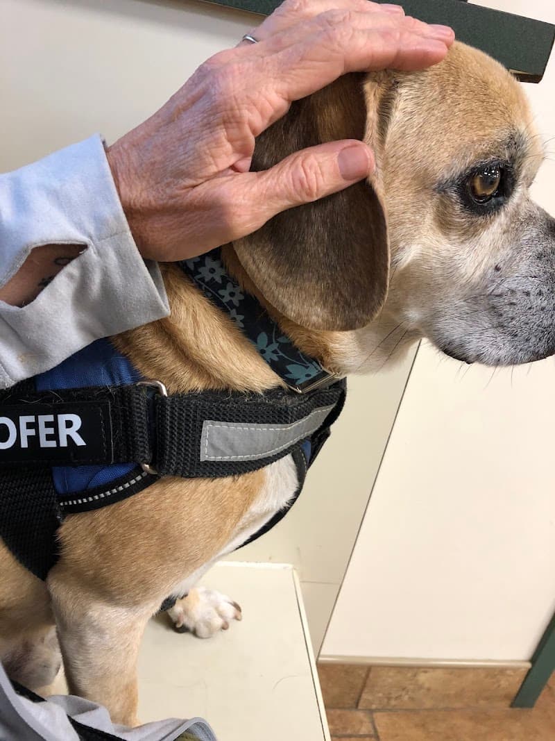 Murray Hill Veterinary Associates