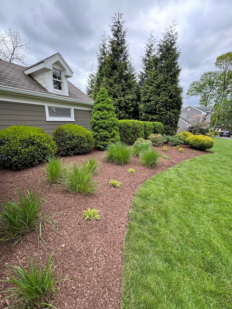 Thomas Robina Landscaping
