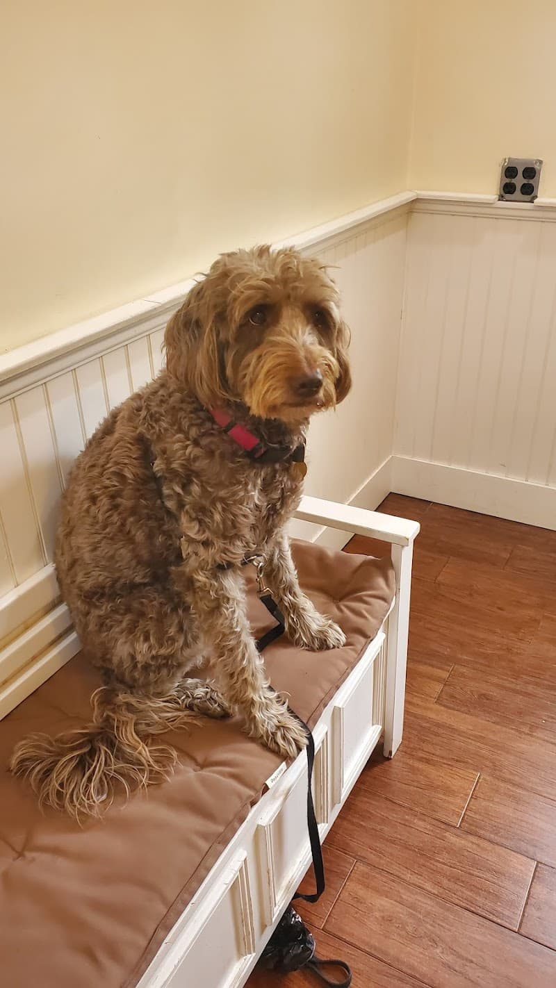 Berkeley Heights Animal Hospital
